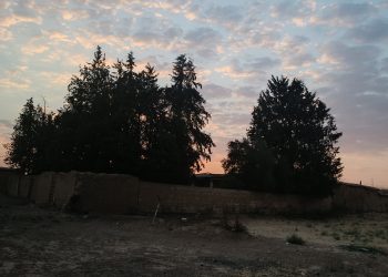 عدسة العدد 2158 من صحيفة روناهي