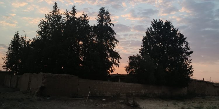 عدسة العدد 2158 من صحيفة روناهي