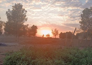 عدسة العدد 2156- 1360 من صحيفة روناهي