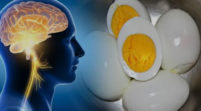 دراسات تكشف أفضل وجبة خفيفة لتعزيز وظائف الدماغ والذاكرة