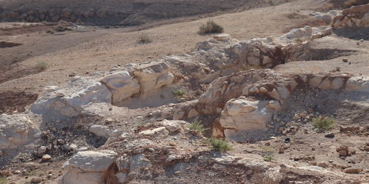 “إيمار” من تحت مياه الفرات إلى صفحات التاريخ