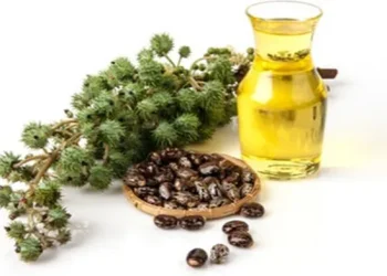 زيت الخروع.. لماذا يستحق لقب “بوتوكس الطبيعة”؟