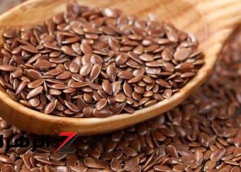 سبع فوائد صحية مذهلة لبذور الكتان