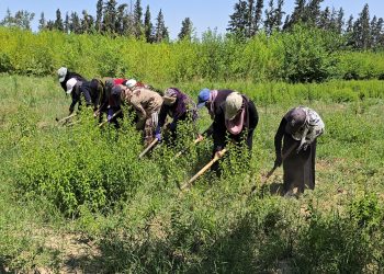 عدسة العدد 2148 من صحيفة روناهي