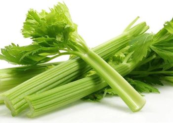 فوائد الكرفس للحامل.. غذاء خفيف ومنافع كبيرة
