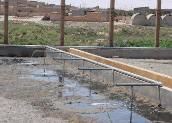 مشروع استراتيجي يحمي البيئة ويعزز الزراعة في المنصورة
