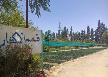  خمسة مشاريع حيوية تعد بتحقيق الاكتفاء الذاتي وتوفير فرص العمل بدير الزور