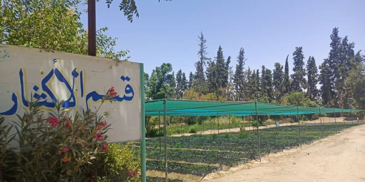  خمسة مشاريع حيوية تعد بتحقيق الاكتفاء الذاتي وتوفير فرص العمل بدير الزور