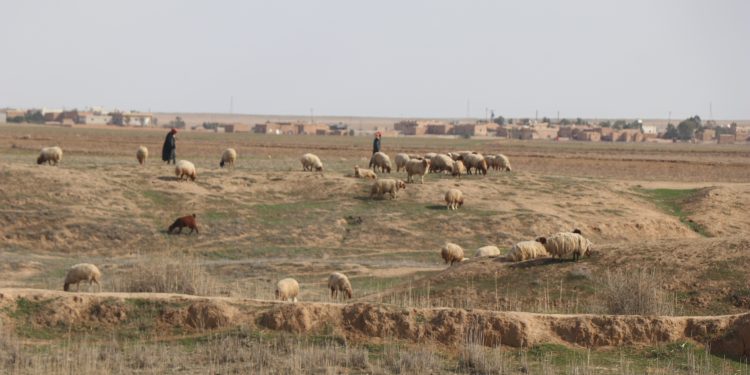 في أسبوع المياه العالمي  الصحراء تغزو شمال وشرق سوريا ما هي أبرز الأسباب؟