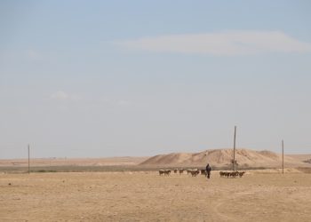 حين غابت الأمطار وجفّت المراعي.. حكاية شمال وشرق سوريا مع التغيّر المناخي