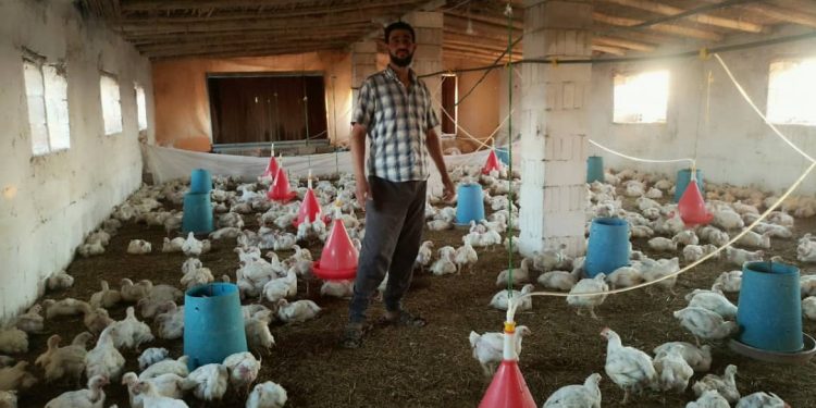 مشروع المداجن في تل حميس بين الدعم والتحديات المناخية