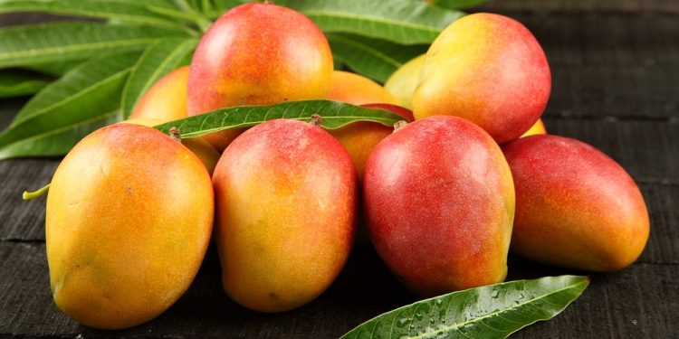 فوائد المانجو الصحية الرائعة وقيمتها الغذائية