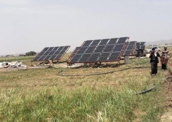 الزراعة في الجزيرة تخطو نحو الاستدامة.. بدء تسجيل المزارعين بمنظومات الطاقة الشمسية
