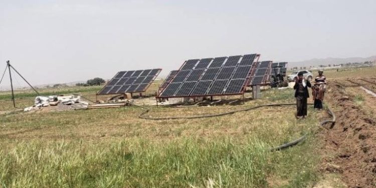 الزراعة في الجزيرة تخطو نحو الاستدامة.. بدء تسجيل المزارعين بمنظومات الطاقة الشمسية