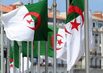 دعماً للمرأة العاملة… الجزائر تمدد عطلة الأمومة إلى 150 يوماً