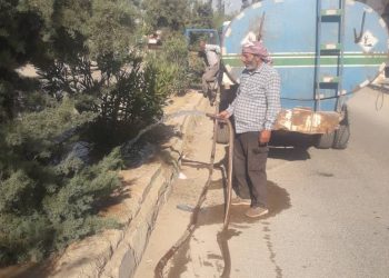 ذبول الأشجار بين موجات الحر ونقص المياه بتل تمر