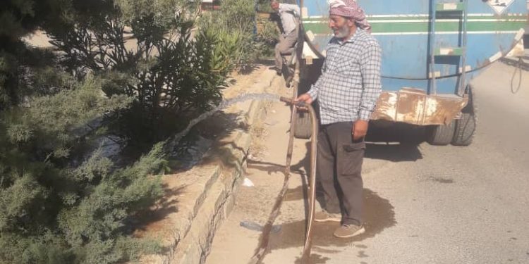 ذبول الأشجار بين موجات الحر ونقص المياه بتل تمر
