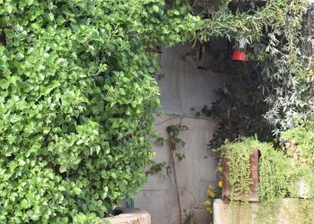 عدسة العدد 2182 من صحيفة روناهي