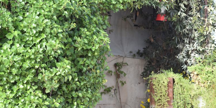 عدسة العدد 2182 من صحيفة روناهي