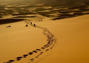 في الطريق الذاهبة