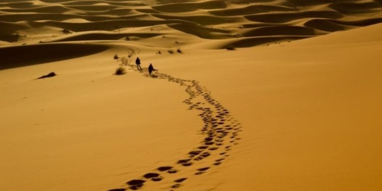 في الطريق الذاهبة