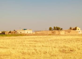 قرية الصالحية رمز الأصالة والتلاحم الاجتماعي