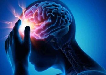 لماذا تنعشك النسمة الباردة؟ دائرة عصبية للإحساس بدرجة الحرارة تحل اللغز