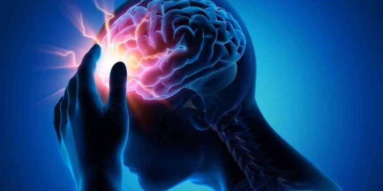 لماذا تنعشك النسمة الباردة؟ دائرة عصبية للإحساس بدرجة الحرارة تحل اللغز