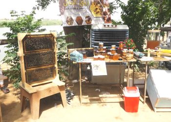 مهرجان العسل في هجين   رحلة التحدي إلى الإبداع وأملٌ بمستقبلٍ مزهرٍ لتربية النحل