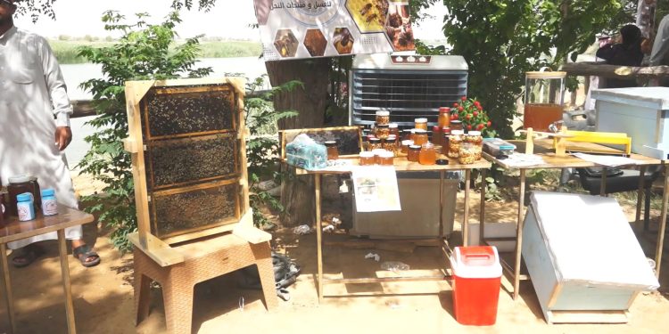 مهرجان العسل في هجين   رحلة التحدي إلى الإبداع وأملٌ بمستقبلٍ مزهرٍ لتربية النحل