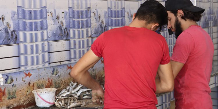 مسمكة أبو عيش.. أربعة عقود من الصمود على ضفاف الفرات