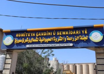 بدء تنظيم الزراعة لموسم 2025 ـ 2026 في شمال وشرق سوريا