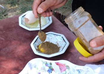 مريم العلي.. امرأة أحبت وتوارثت مهنة التداوي بالأعشاب