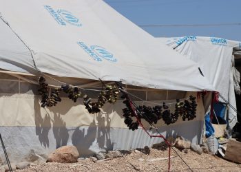 عدسة العدد 2204-1373 من صحيفة روناهي