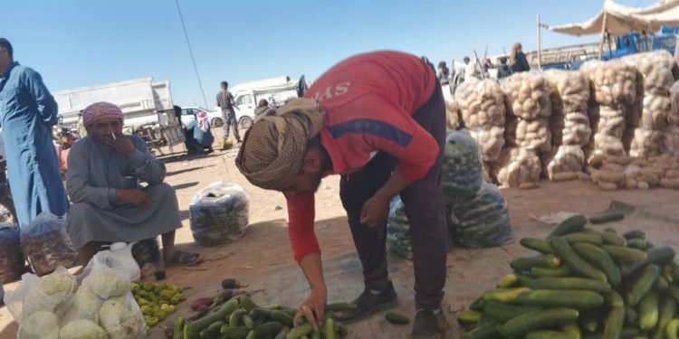انخفاض كبير في أسعار الخضار وإقبال متزايد من المستهلكين في سوق تل حميس