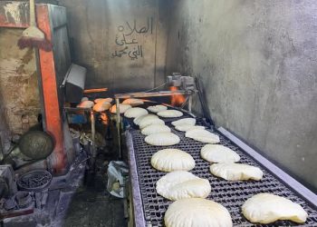 جهود متواصلة لتعزيز الخدمات الفنية والرقابية في مقاطعة الرقة