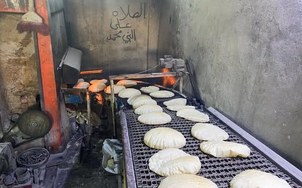 جهود متواصلة لتعزيز الخدمات الفنية والرقابية في مقاطعة الرقة