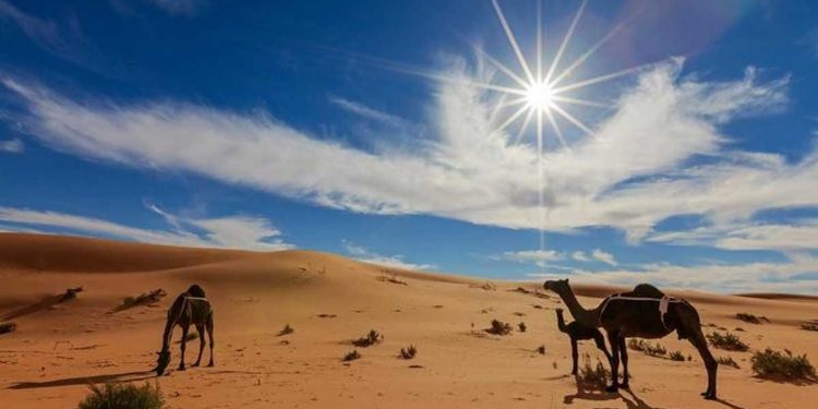بين الجبل والصحراء… ملحمة حب لا تموت