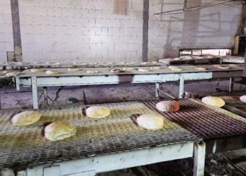 أفران السويداء تستأنف عملها وأزمة توفير الطحين مستمرة