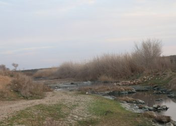 حين جفّ الخابور… مزارعون يبحثون عن حياة جديدة