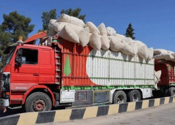 محلج الحسكة يستمر باستلام محصول القطن من المزارعين