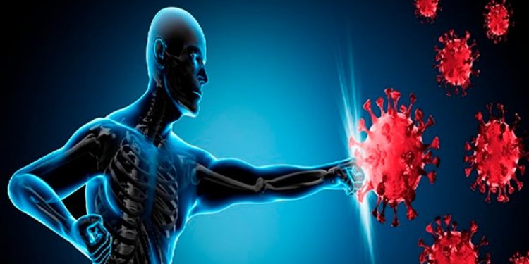 مع اقتراب الشتاء أطعمة تحسن مناعتك
