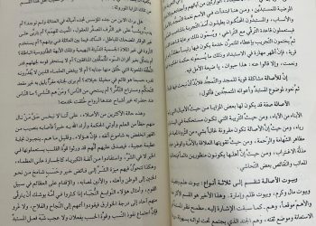 الفجوات في العمل الأدبي