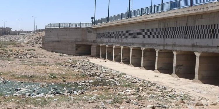 تحديات زراعية جمة بمواجهة إدارة المياه والري في سوريا