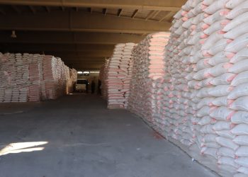البدء بتوزيع بذار القمح على المزارعين في مقاطعة الفرات