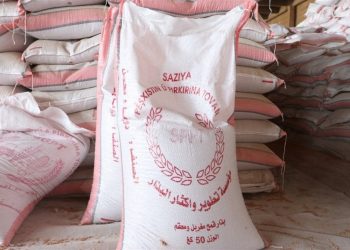 توزيع 850 طناً من بذار القمح على مزارعي الحسكة