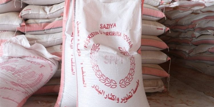 توزيع 850 طناً من بذار القمح على مزارعي الحسكة