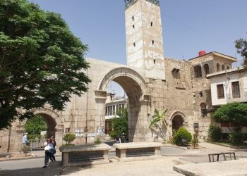 اللي بيعرف يعرف… واللي ما بيعرف بيقول كف عدس