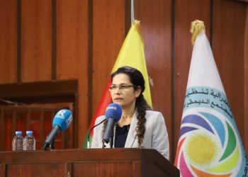إلهام أحمد: الحل في سوريا نظام لامركزي أساسه العيش المشترك