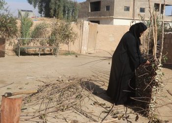 حياكة الصِيرة من شجرة التوت.. تراثٌ يتحدى النسيان